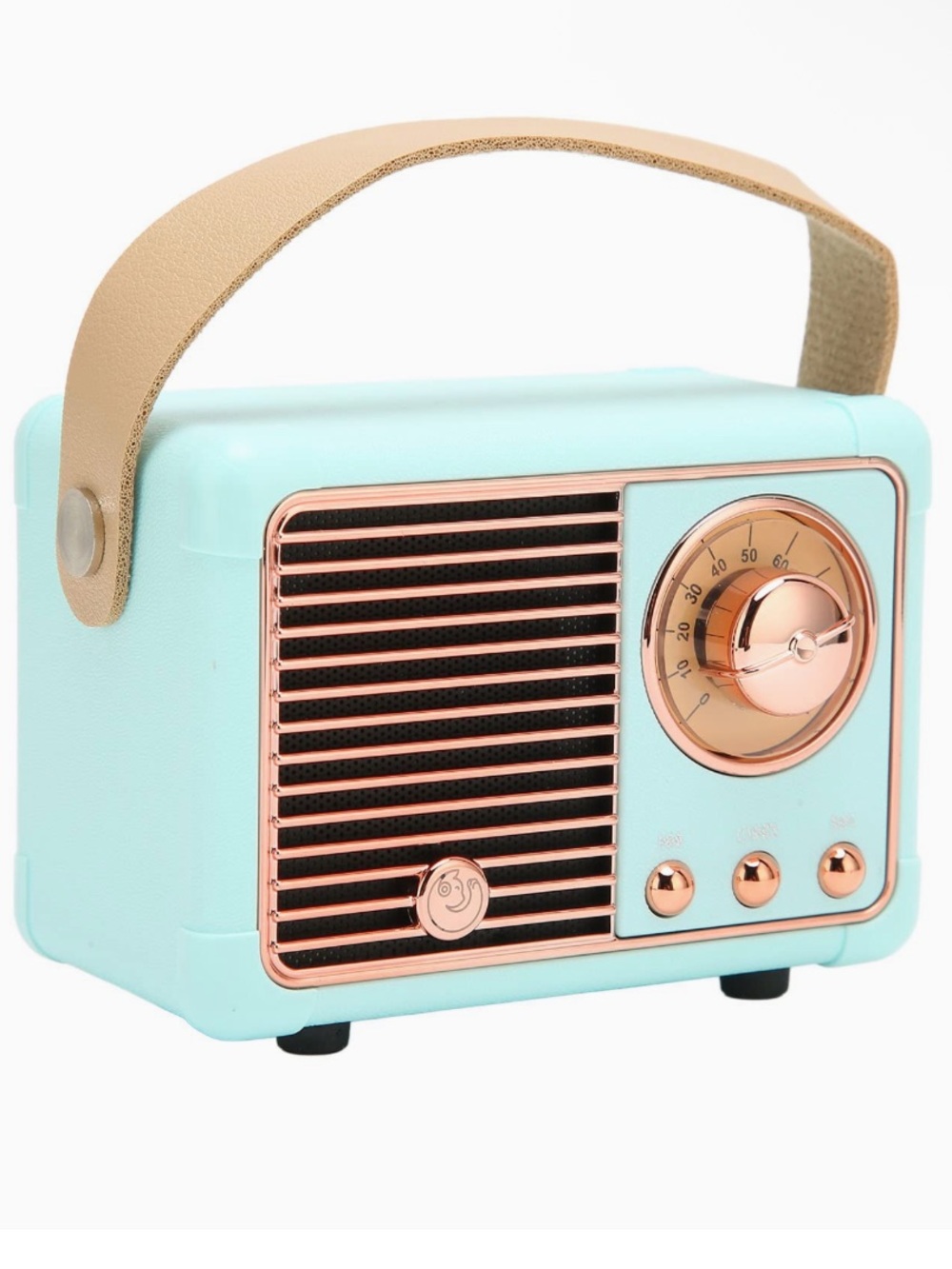 Retro Portable Bluetooth Speaker in Mint with Rose Gold Accents